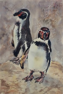 Penguins   